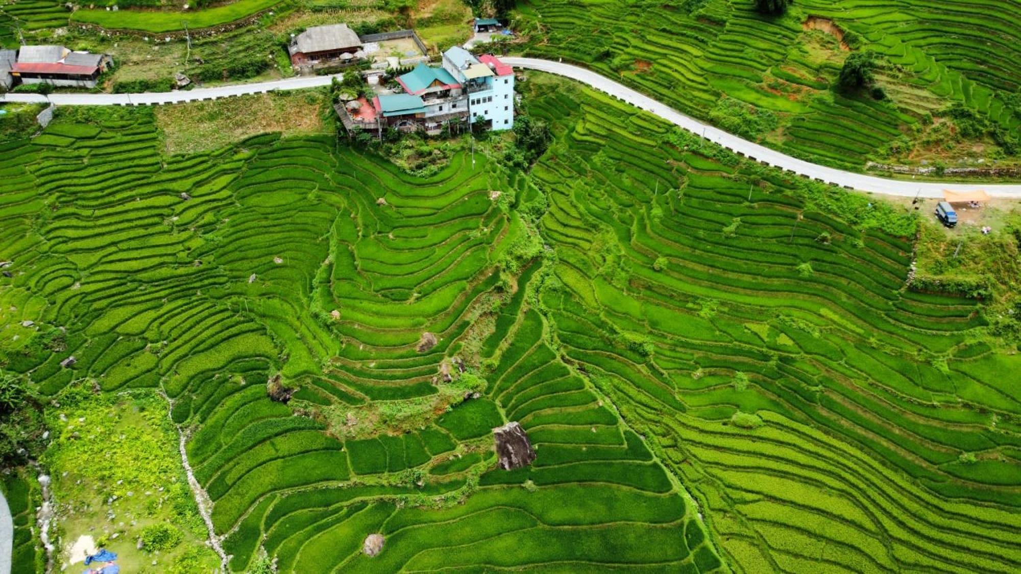 Hoa'S Homestay Sapa Eksteriør bilde