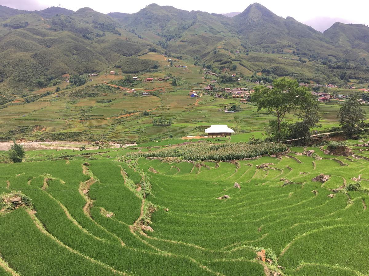 Hoa'S Homestay Sapa Eksteriør bilde