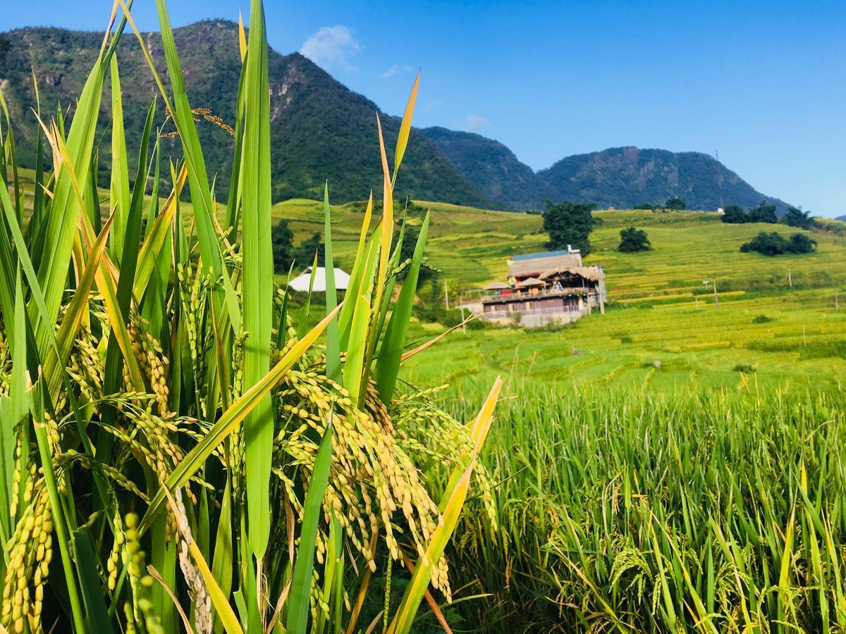 Hoa'S Homestay Sapa Eksteriør bilde