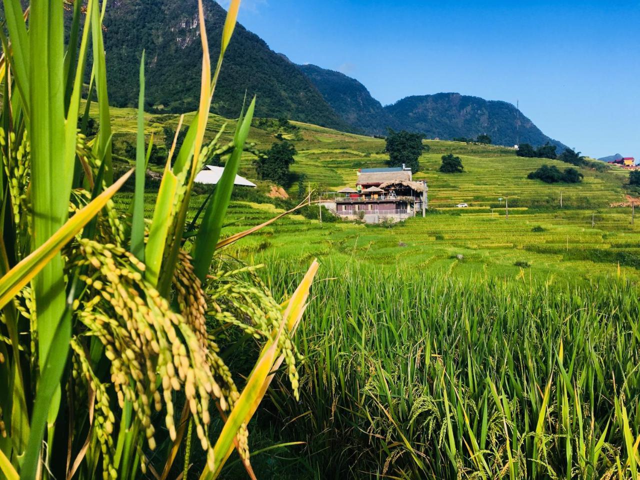 Hoa'S Homestay Sapa Eksteriør bilde