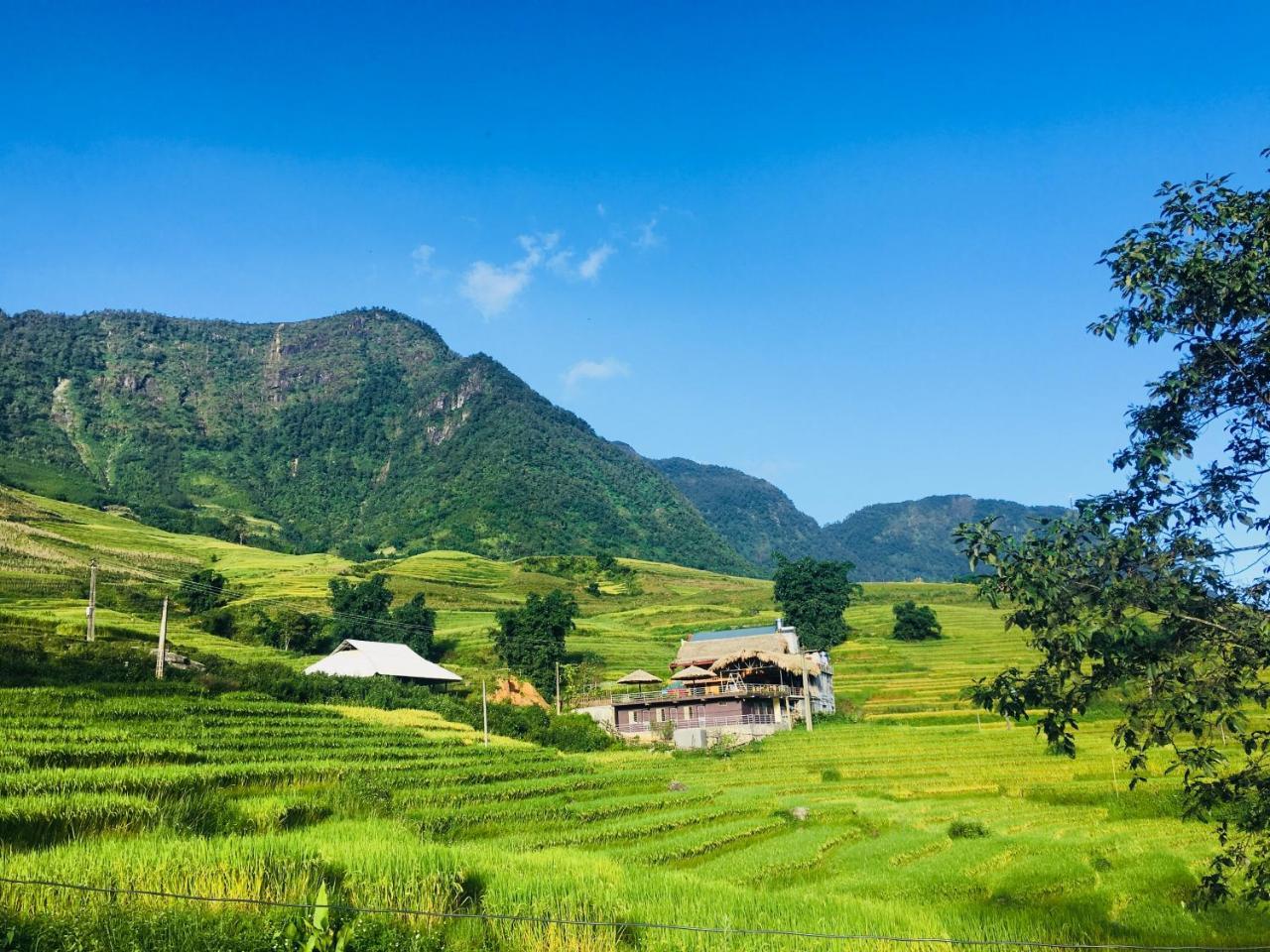 Hoa'S Homestay Sapa Eksteriør bilde